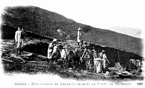 Azazga - Exploitation du Chene-Liege Foret de Yakouren - 1907